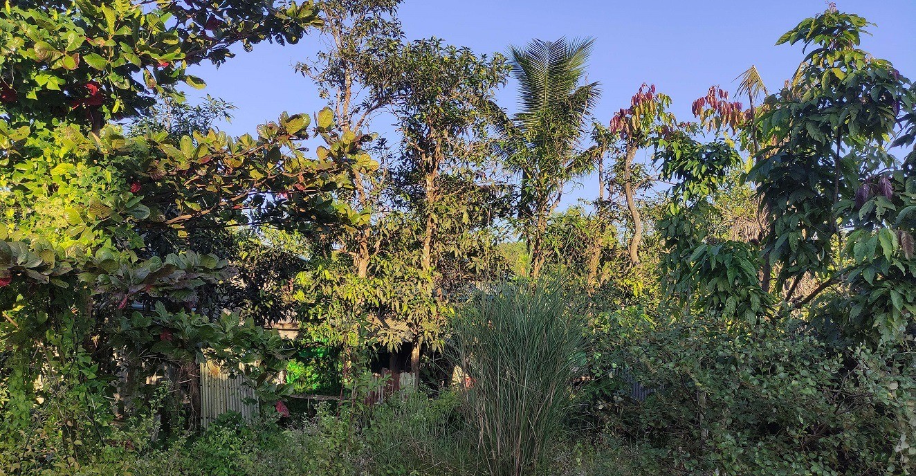 a9594383b6ad05839eb9d9e3421bc388-1765511910.jpg a9594383b6ad05839eb9d9e3421bc388-1765511910.jpg